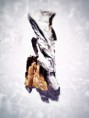 /album/travail-photo-graphique/a003-ombre-carton-oct-2013-jpg/